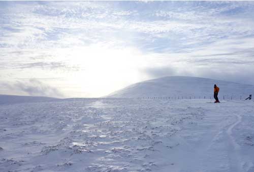 snowandsky